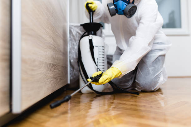 Best Mosquito Control Services  in Ocean Pines, MD