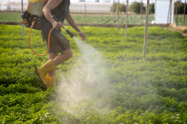 Best Ant Control Services  in Ocean Pines, MD