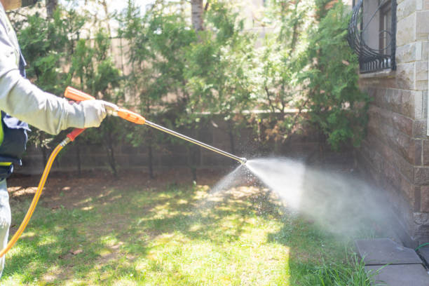Wildlife Control Services in Ocean Pines, MD