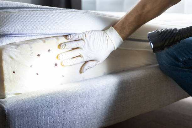 Best Emergency Pest Control  in Ocean Pines, MD